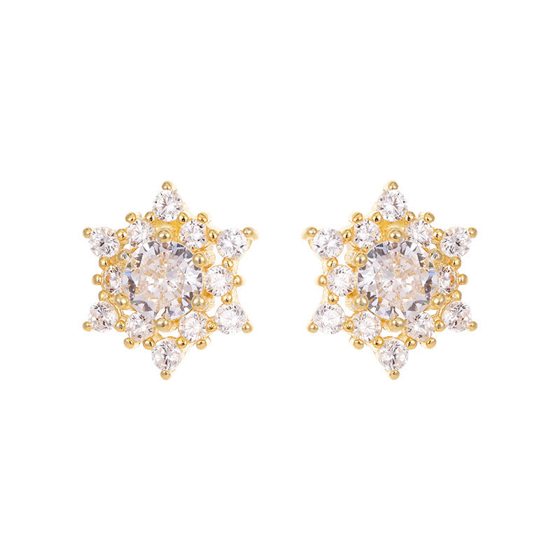 S925 Silver Snowflake Zircon Earrings